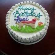Birthday Cake 9 year old 1